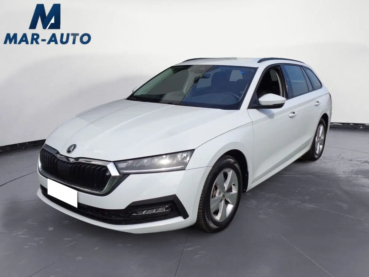 Skoda Octavia Station Wagon usata a Belluno