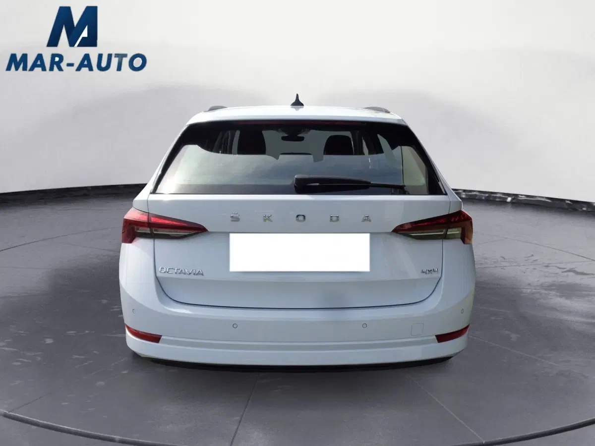 Skoda Octavia Station Wagon usata a Belluno (18)