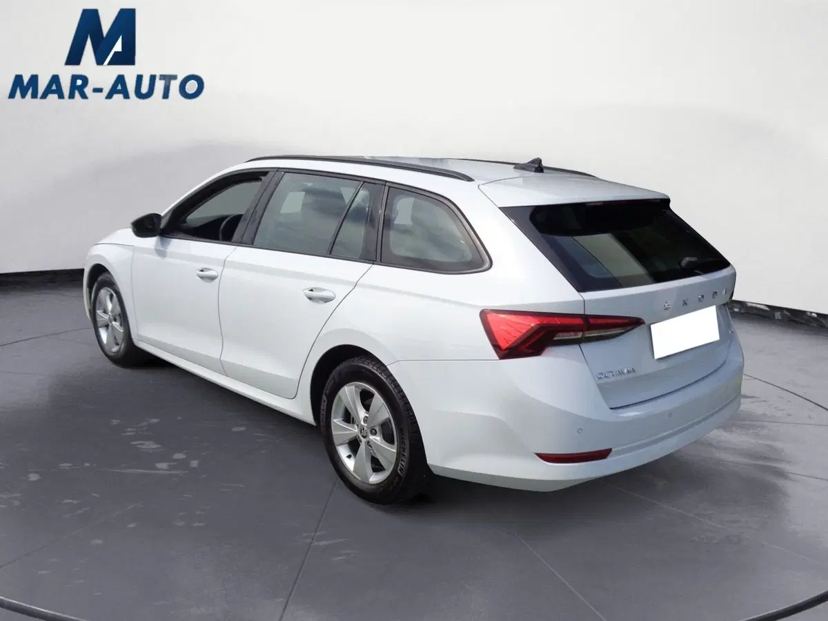 Skoda Octavia Station Wagon usata a Belluno (2)
