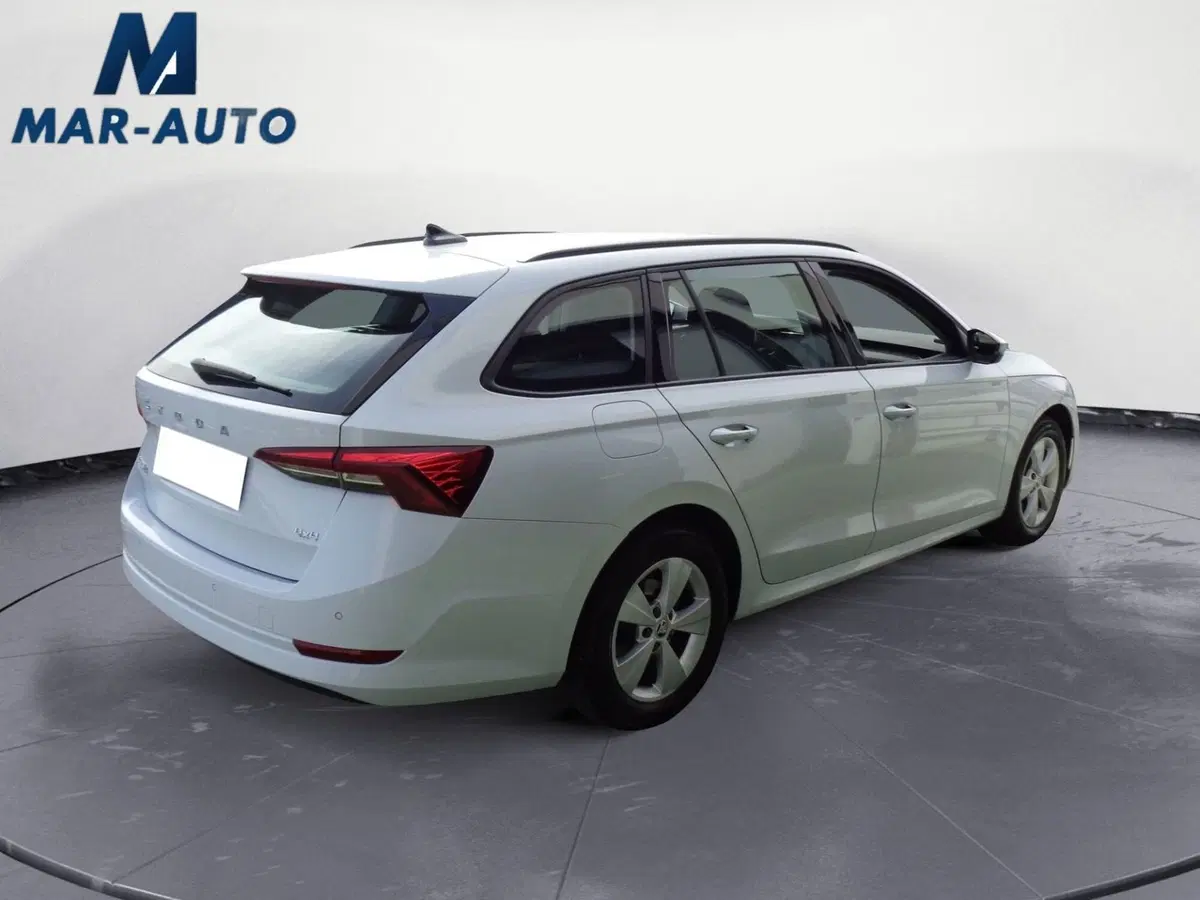 Skoda Octavia Station Wagon usata a Belluno (3)