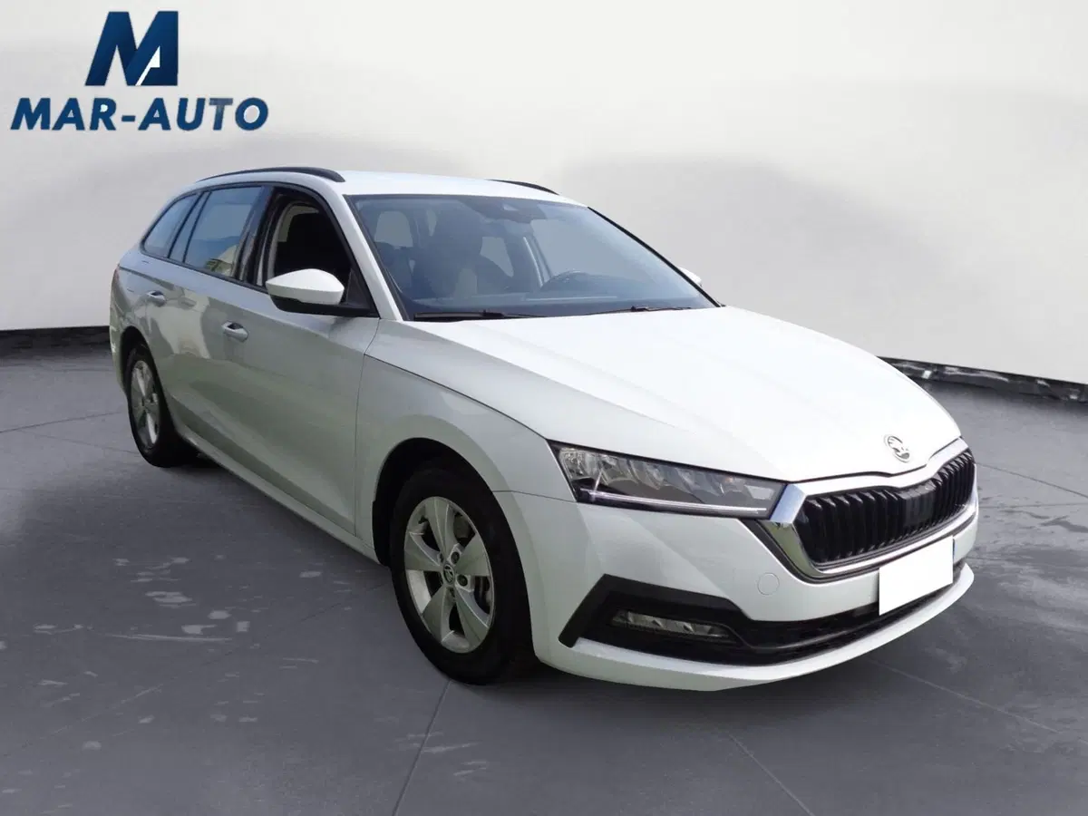 Skoda Octavia Station Wagon usata a Belluno (4)