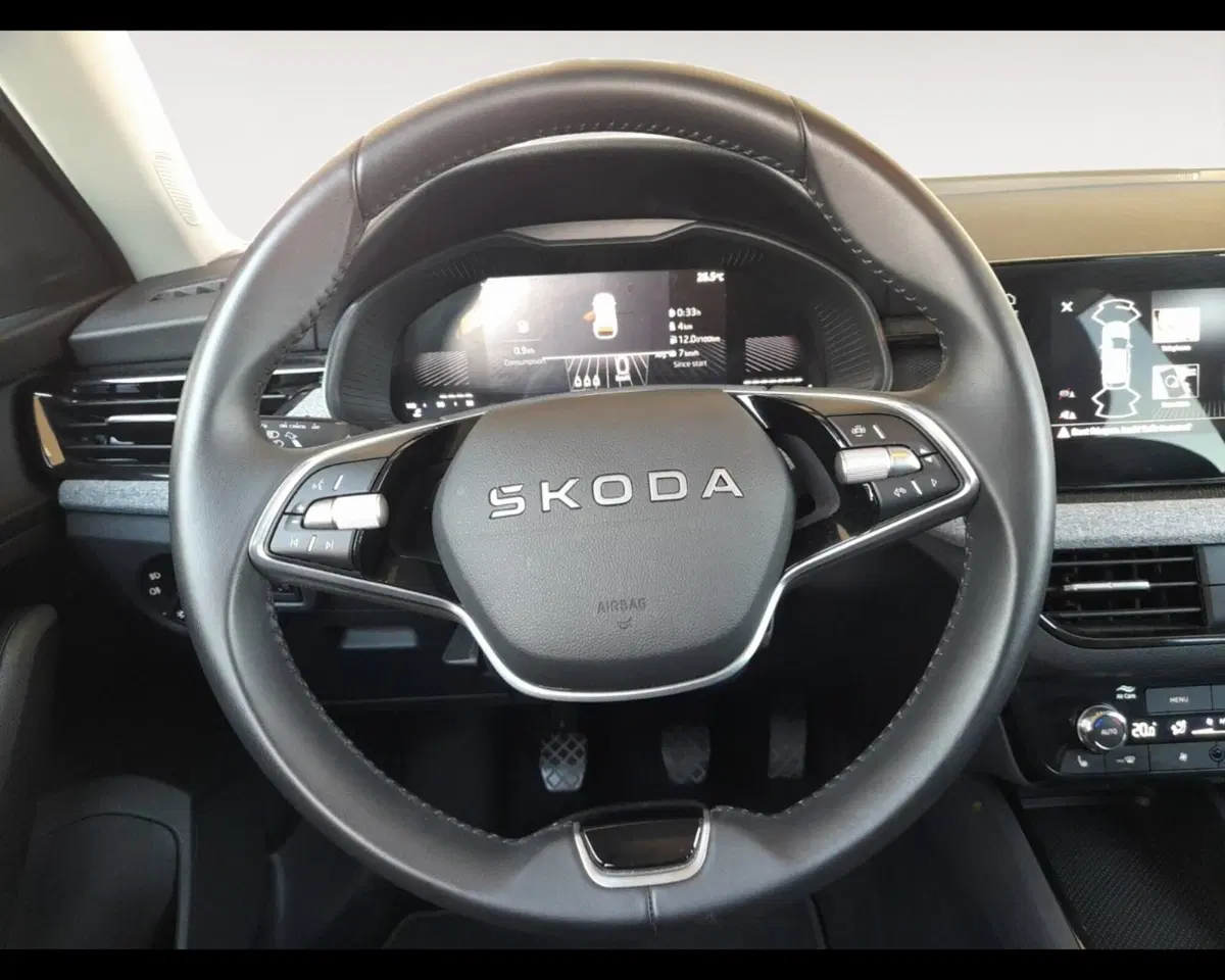 Skoda Kamiq usata a Forlì-Cesena (12)