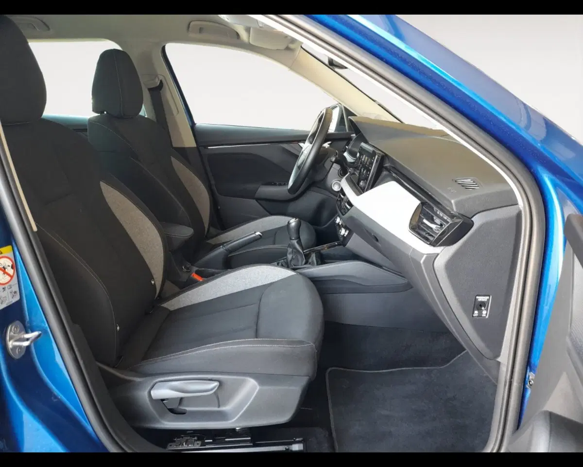 Skoda Kamiq usata a Forlì-Cesena (15)