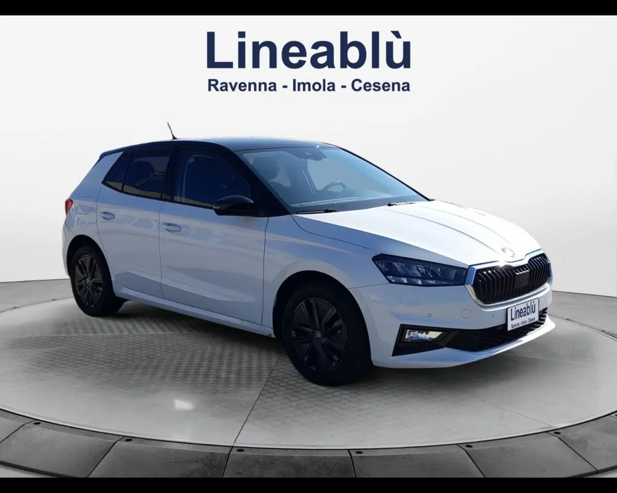 Skoda Fabia usata a Ravenna (7)