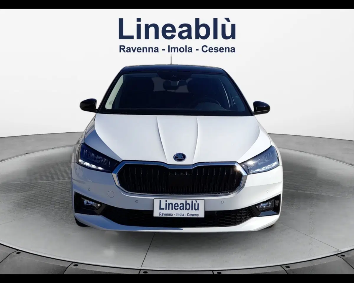 Skoda Fabia usata a Ravenna (8)