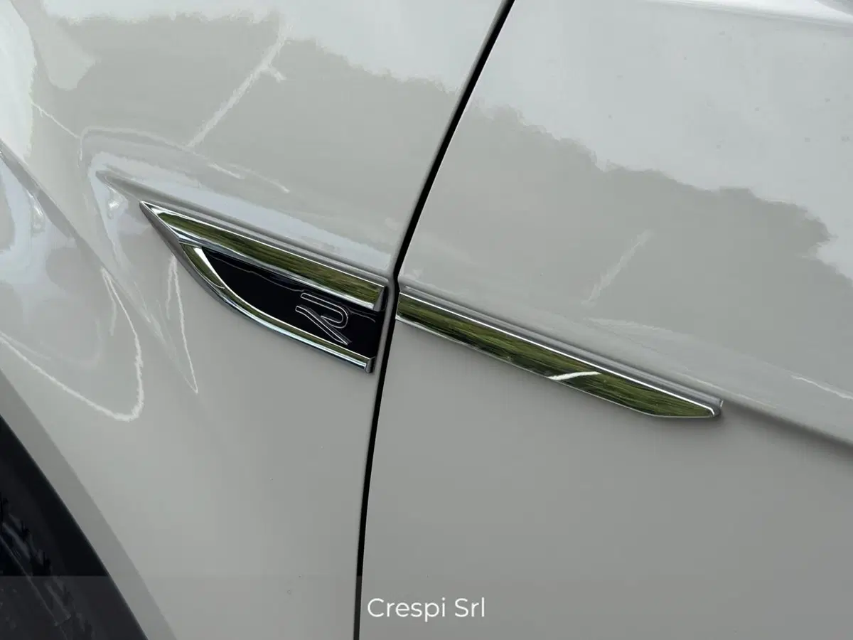 Volkswagen T-Roc usata a Varese (18)