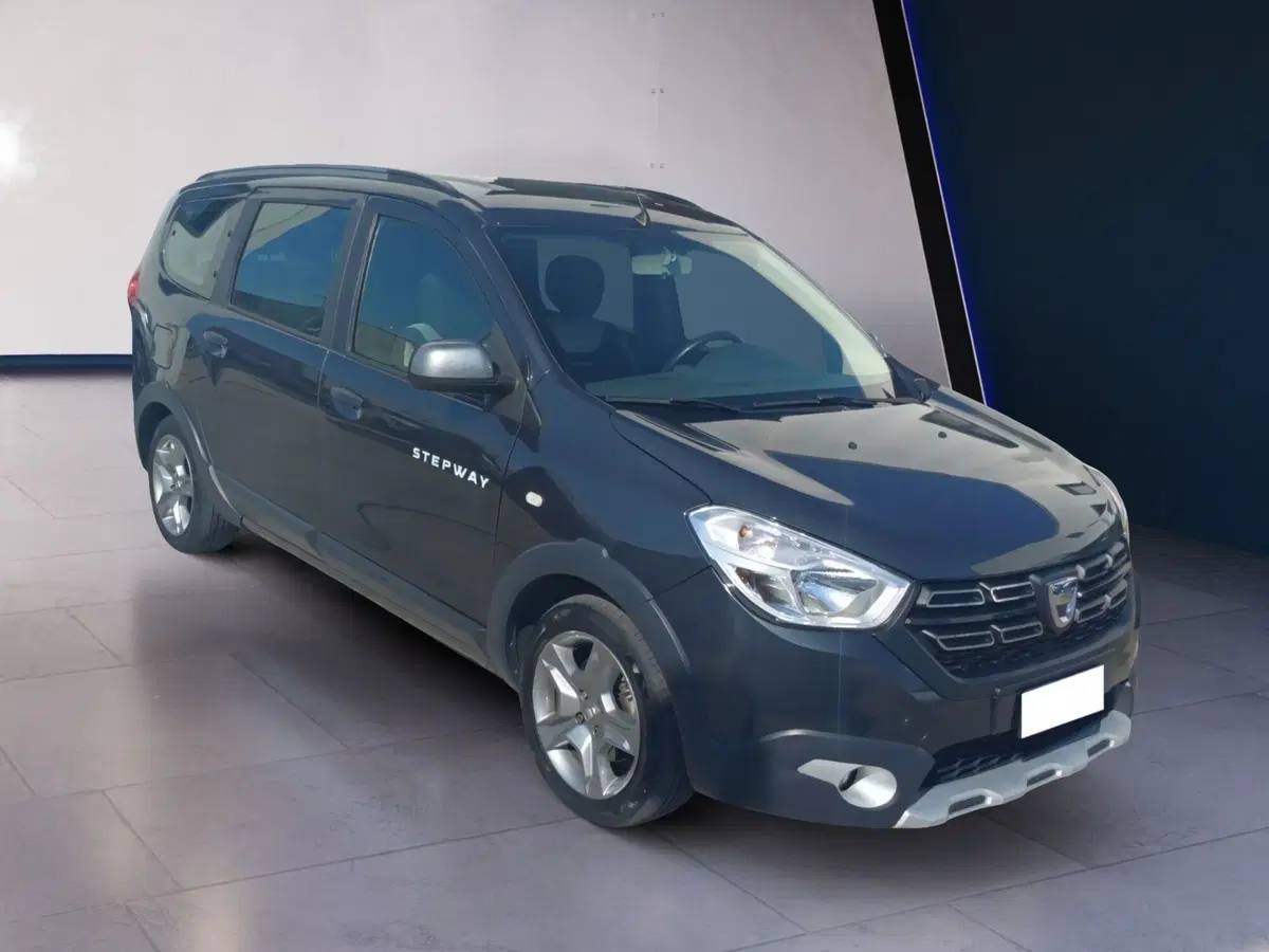 Dacia Lodgy usata a Frosinone (2)