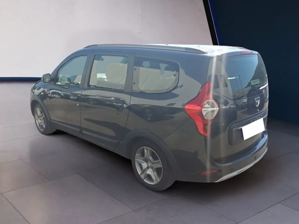 Dacia Lodgy usata a Frosinone (3)