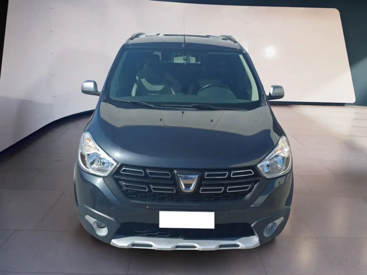 Dacia Lodgy usata a Frosinone (5)