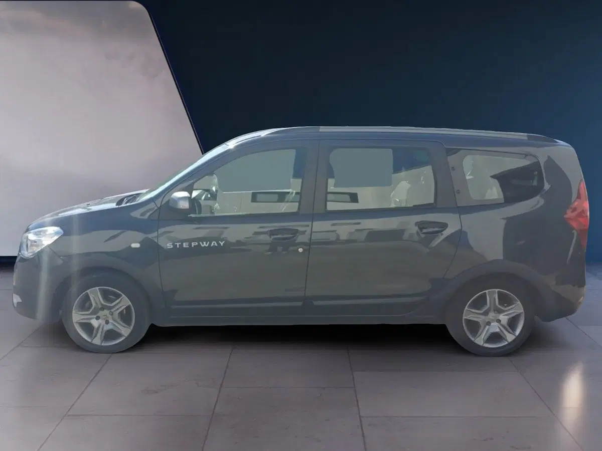 Dacia Lodgy usata a Frosinone (6)