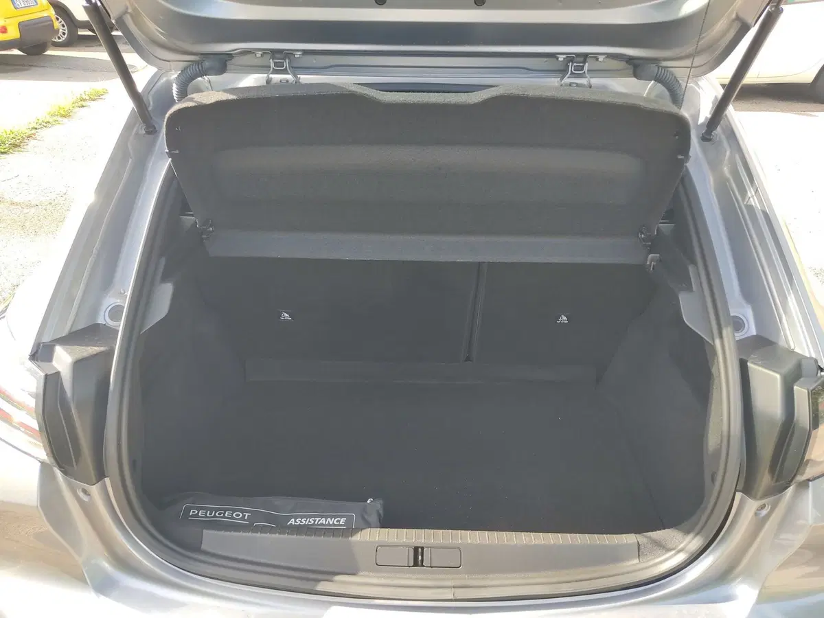 Peugeot 208 usata a Frosinone (12)