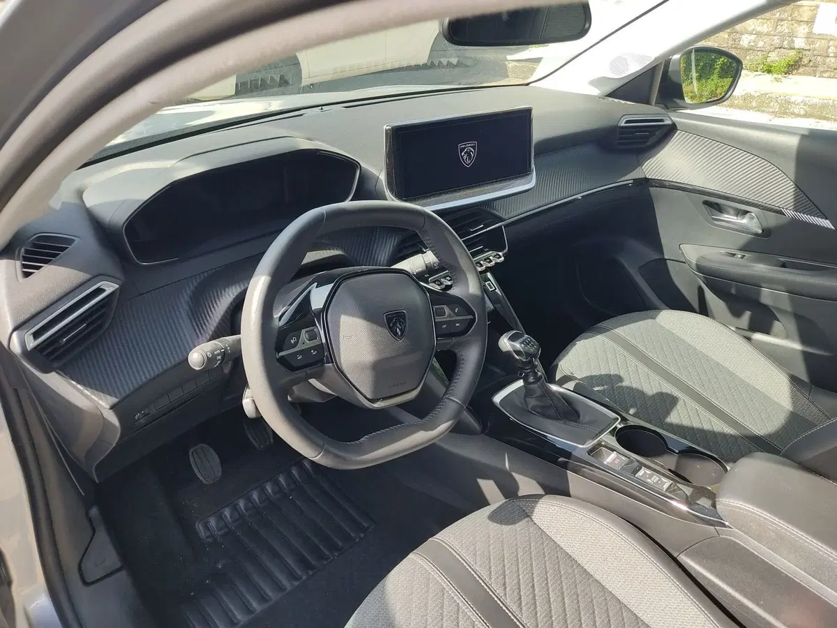 Peugeot 208 usata a Frosinone (7)