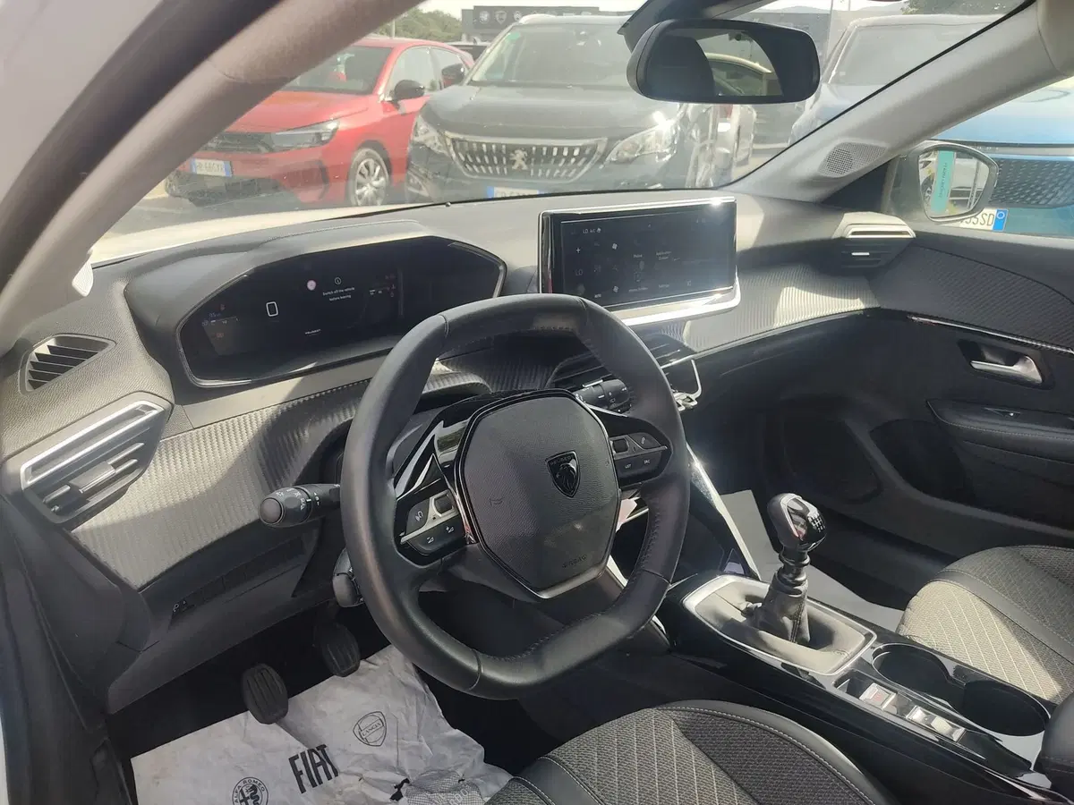 Peugeot 208 usata a Frosinone (8)