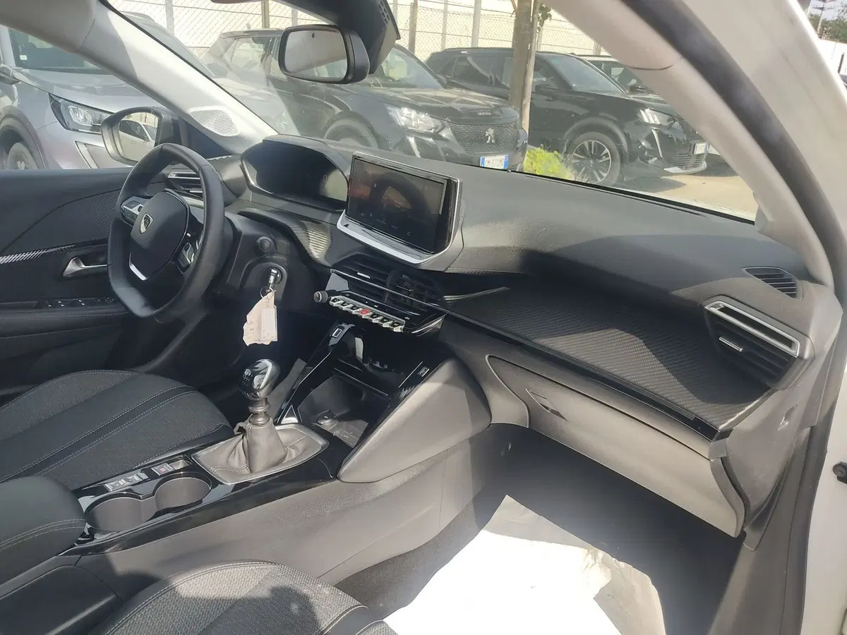 Peugeot 208 usata a Frosinone (9)
