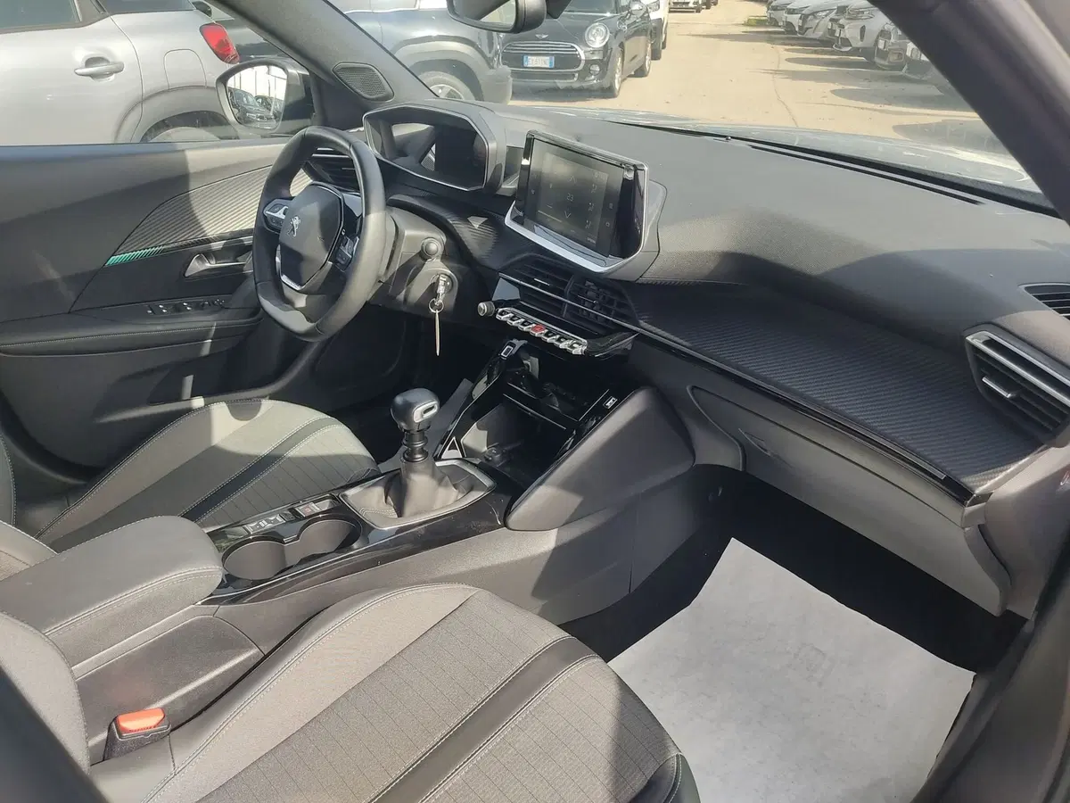 Peugeot 2008 usata a Frosinone (10)