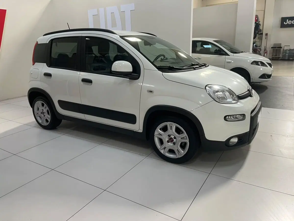 Fiat Panda usata a Lucca (4)