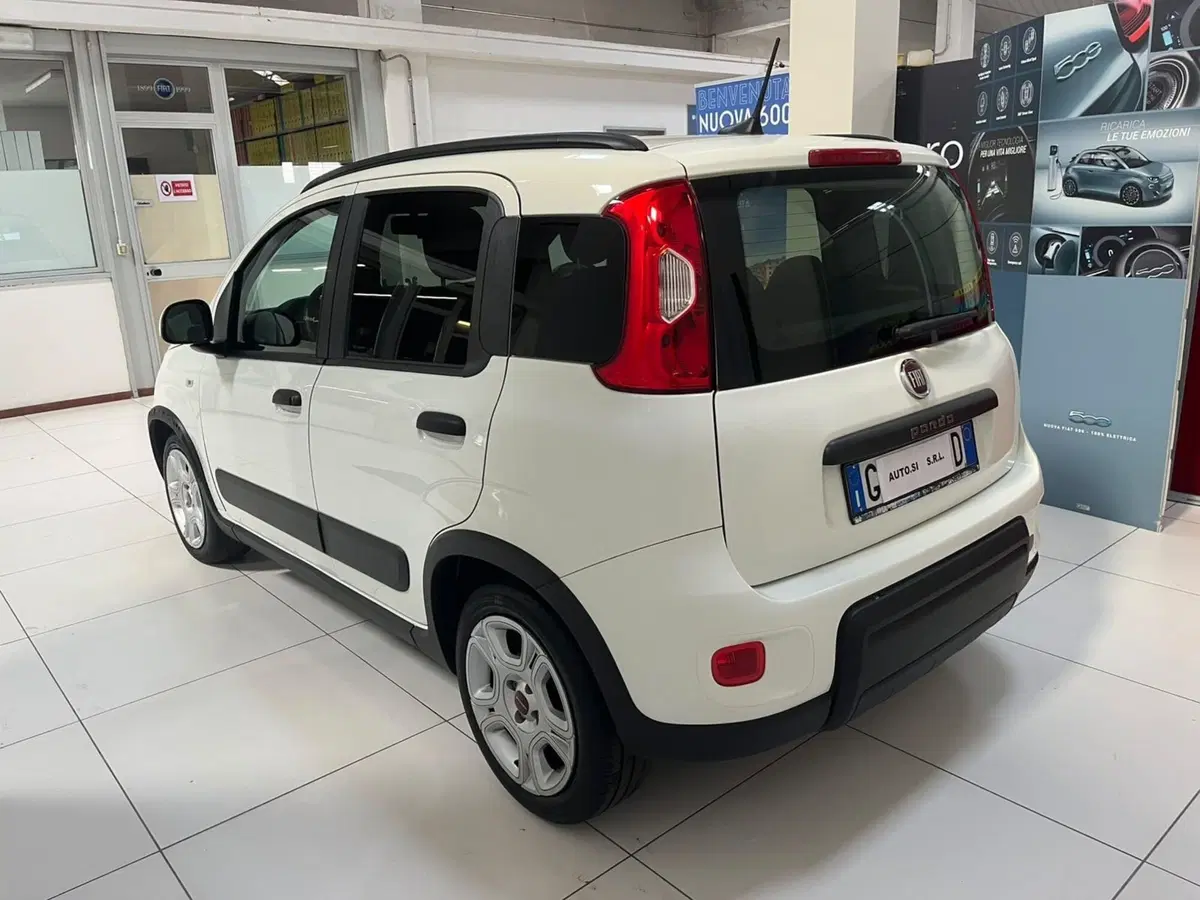 Fiat Panda usata a Lucca (7)