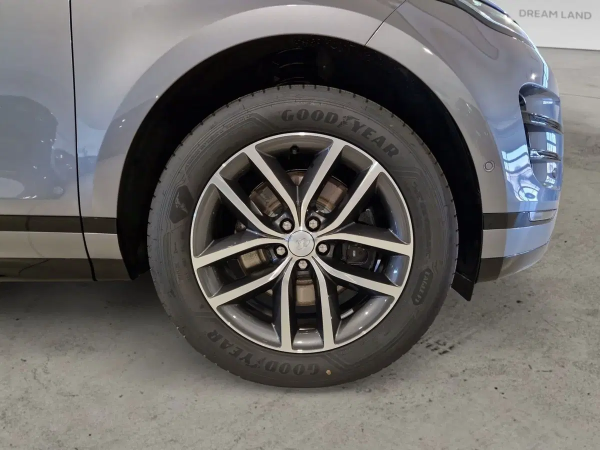 Land Rover Range Rover Evoque usata a Firenze (9)
