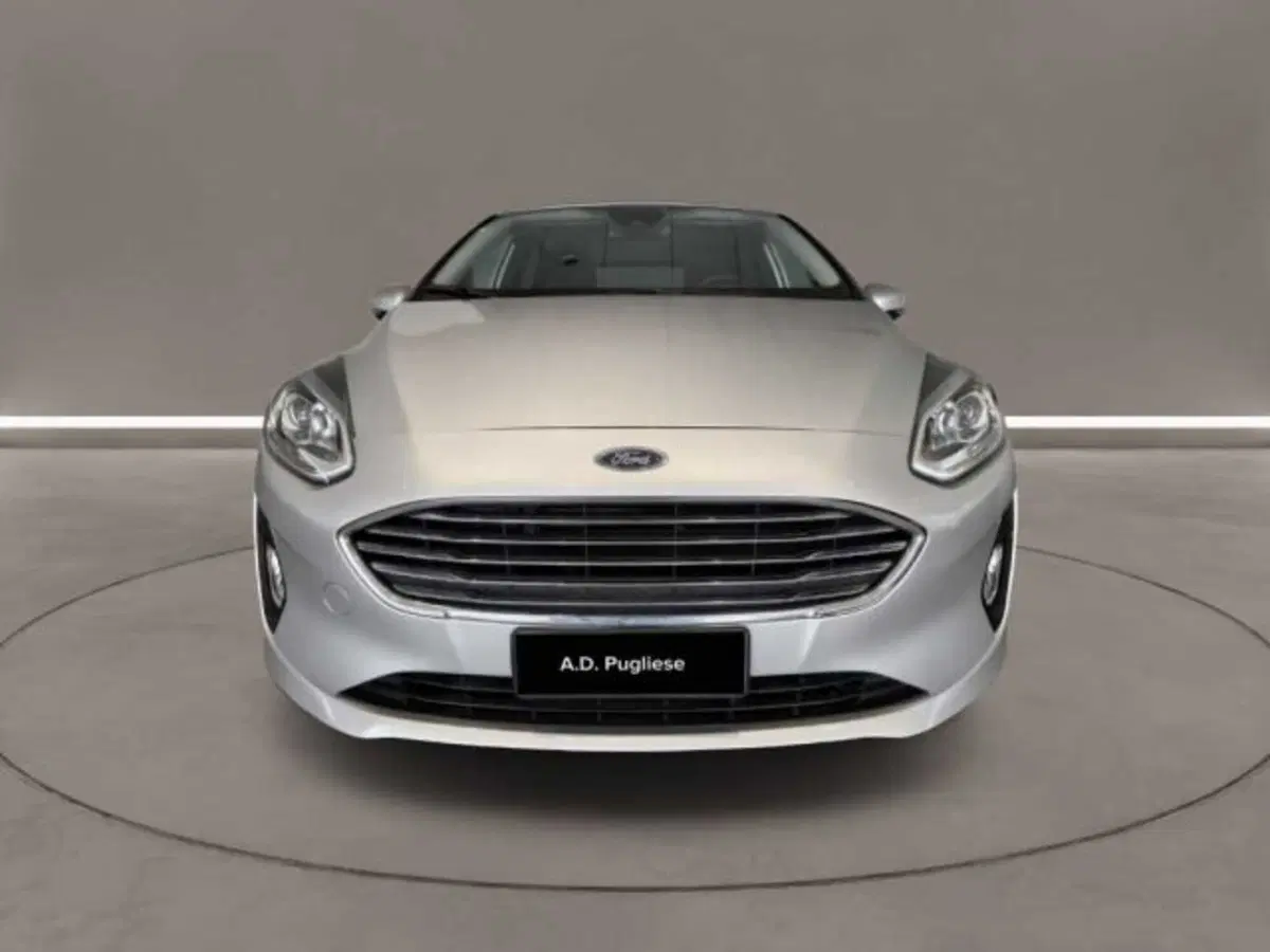 Ford Fiesta usata a Caltanissetta (2)