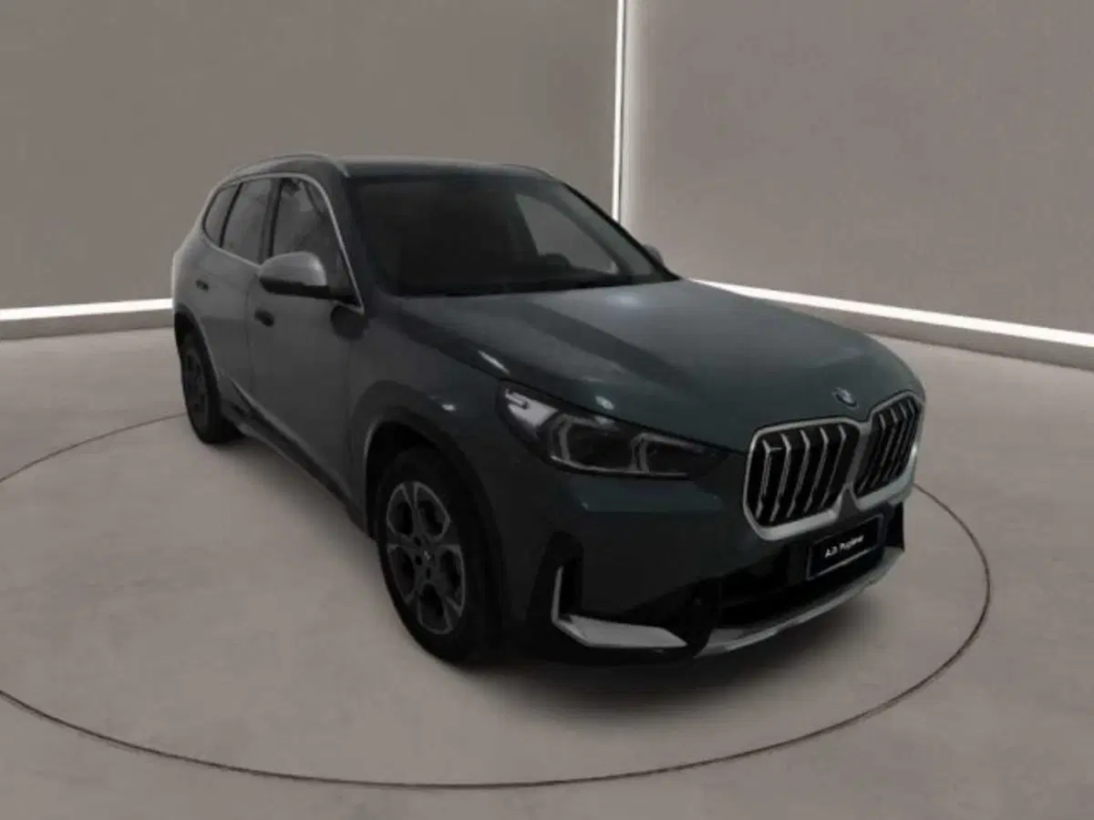 BMW X1 usata a Caltanissetta (3)