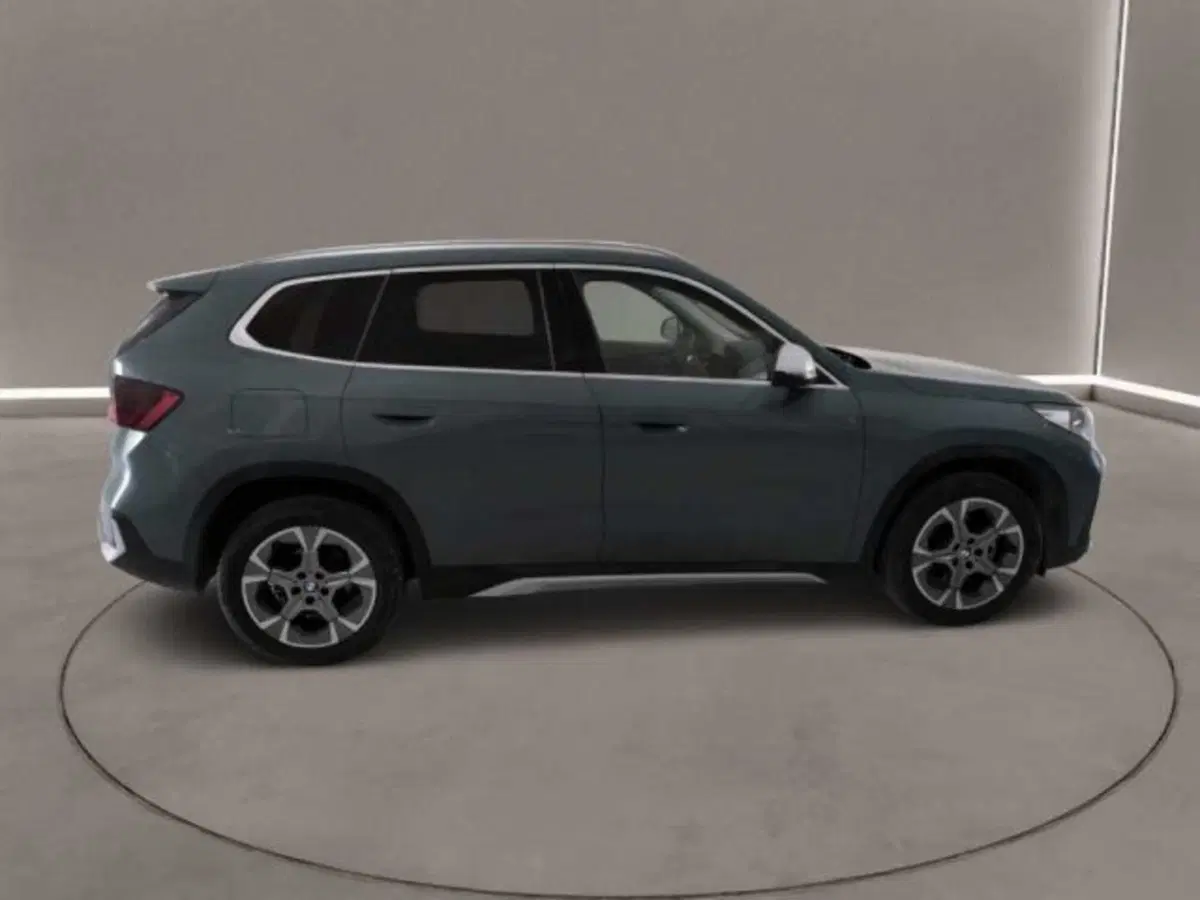 BMW X1 usata a Caltanissetta (4)