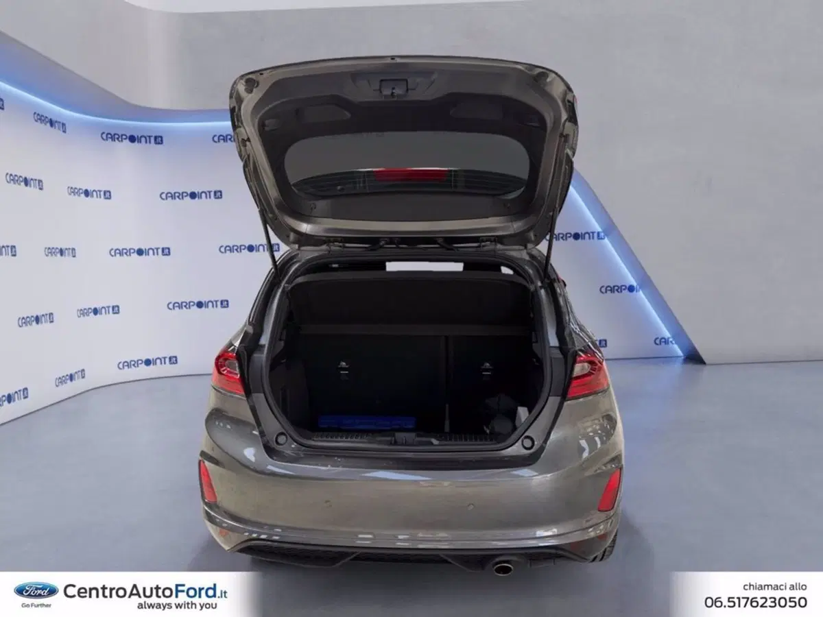 Ford Fiesta usata a Roma (17)