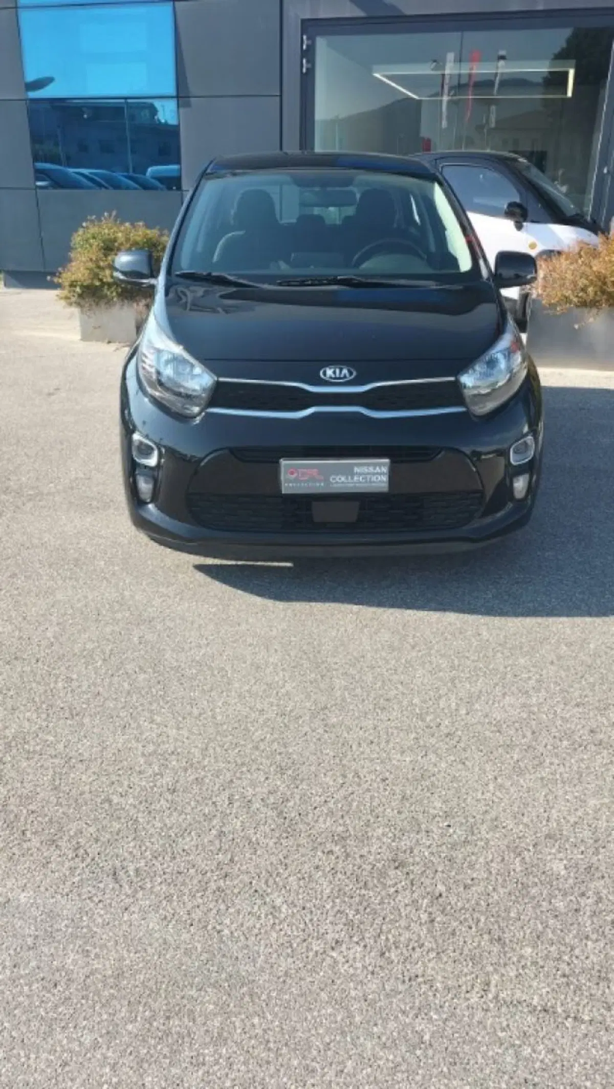 Kia Picanto usata a Lucca (4)