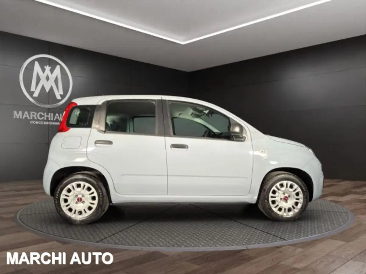 Fiat Panda usata a Perugia (4)