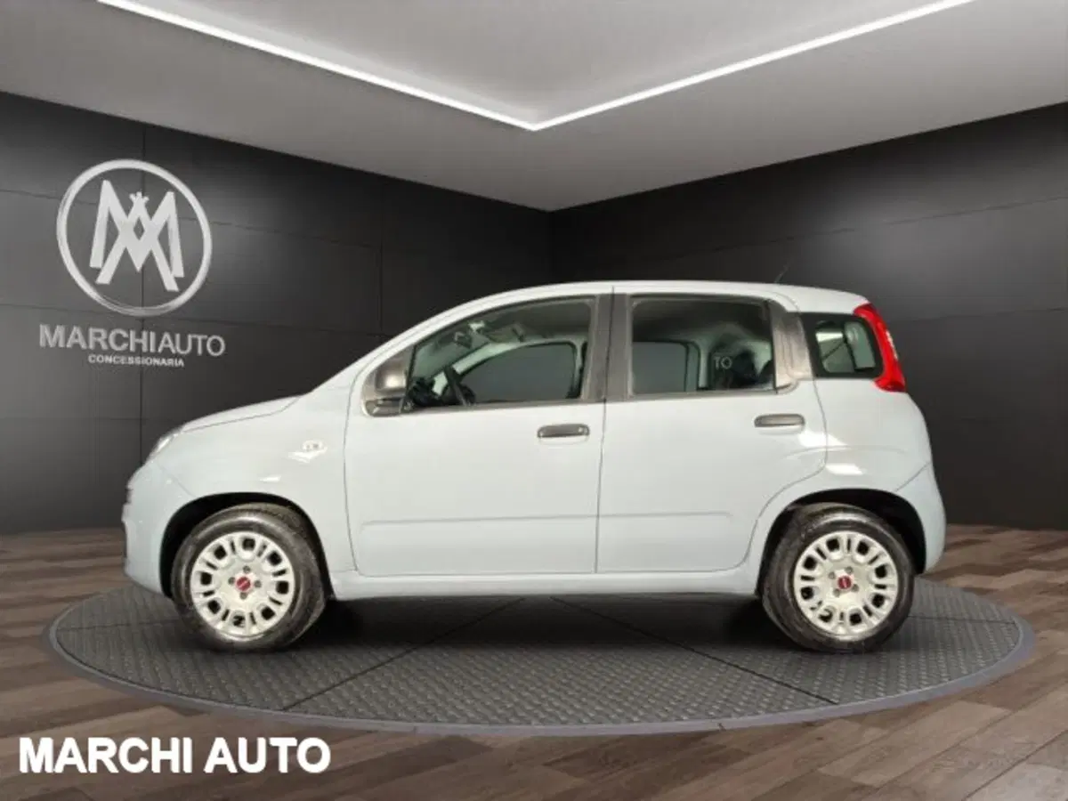 Fiat Panda usata a Perugia (8)