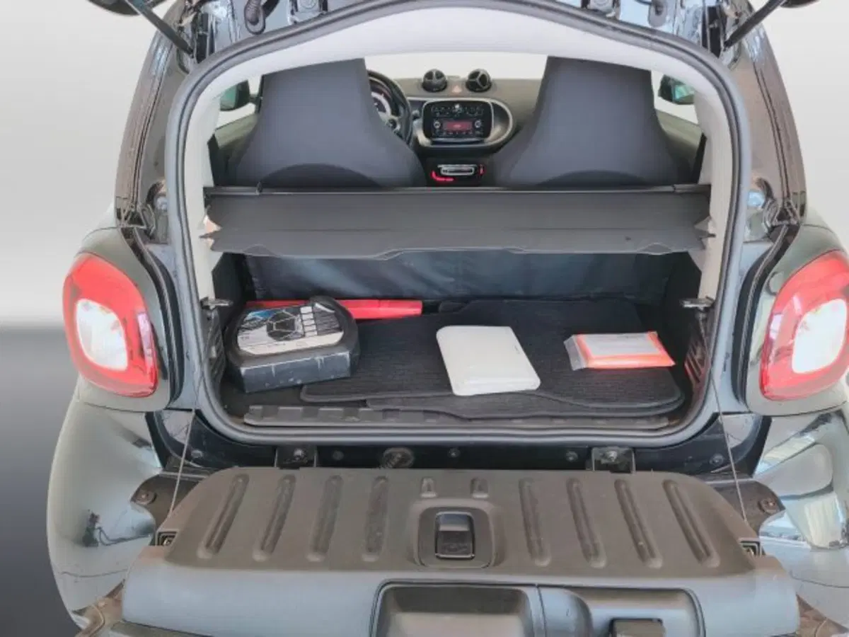 smart Fortwo usata a Teramo (10)