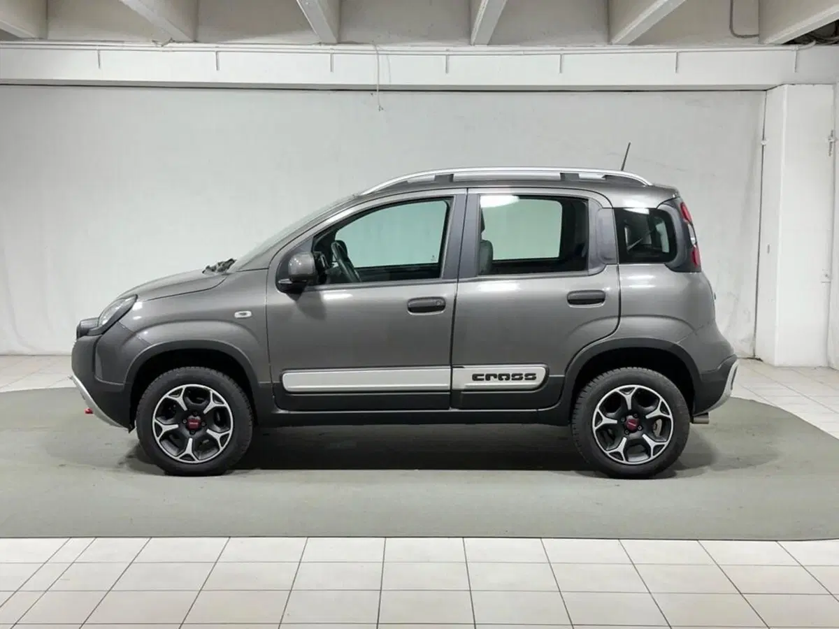 Fiat Panda usata a Sondrio (2)