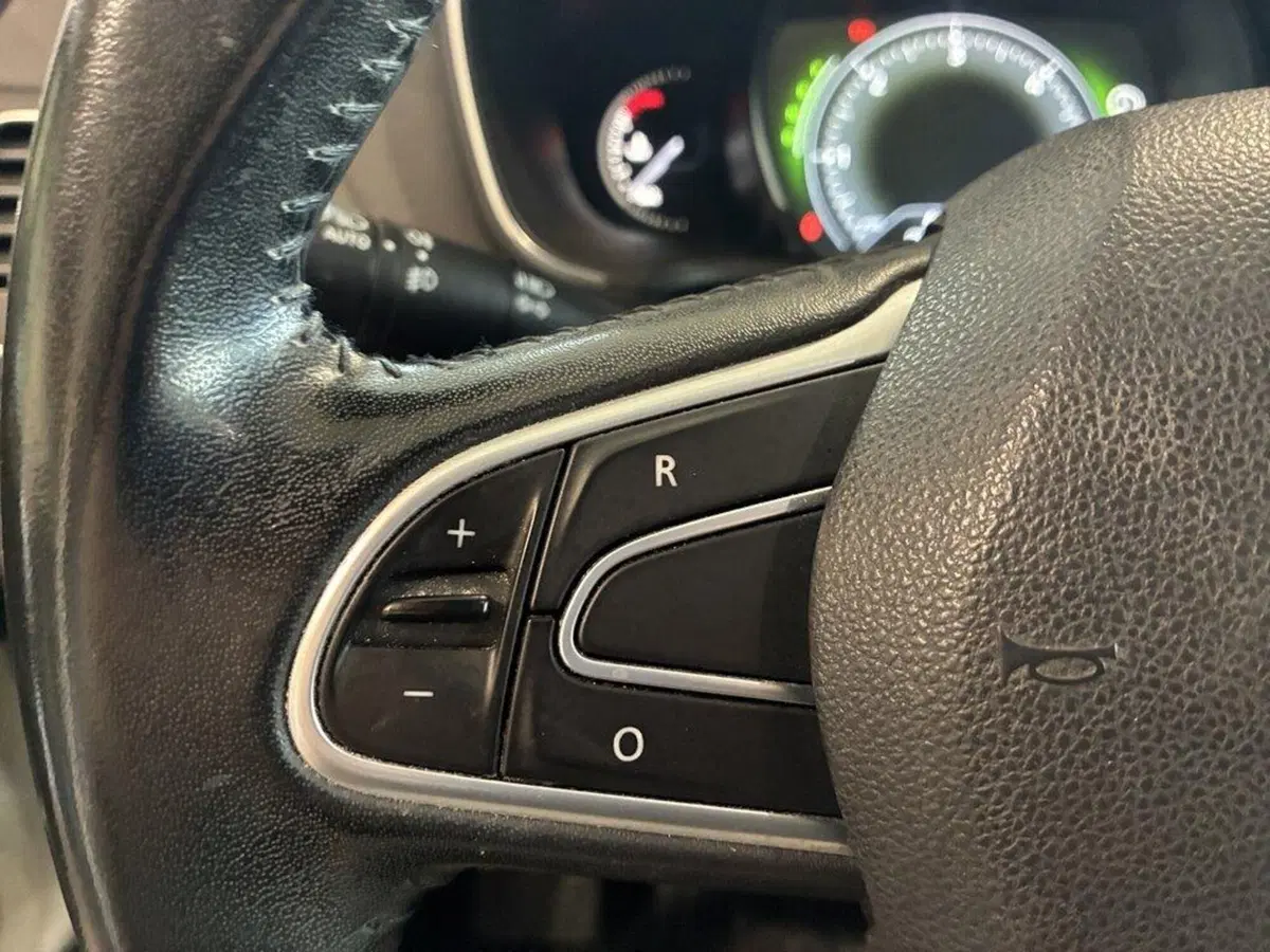 Renault Mégane Sporter usata a Torino (12)