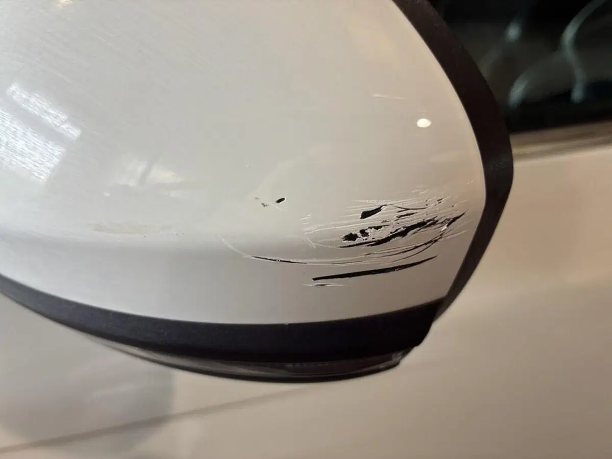 Renault Mégane Sporter usata a Torino (14)
