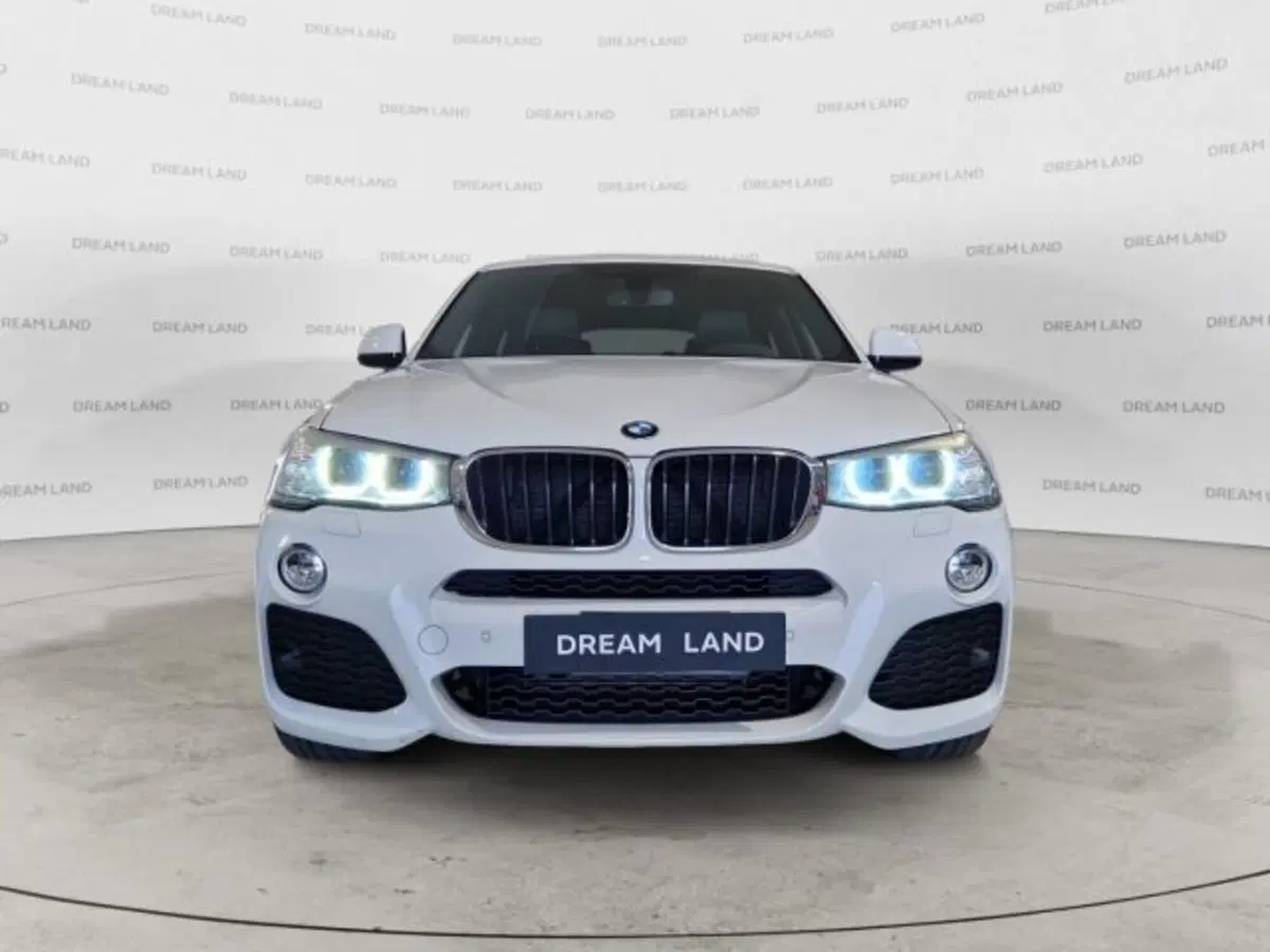 BMW X4 usata a Livorno (2)