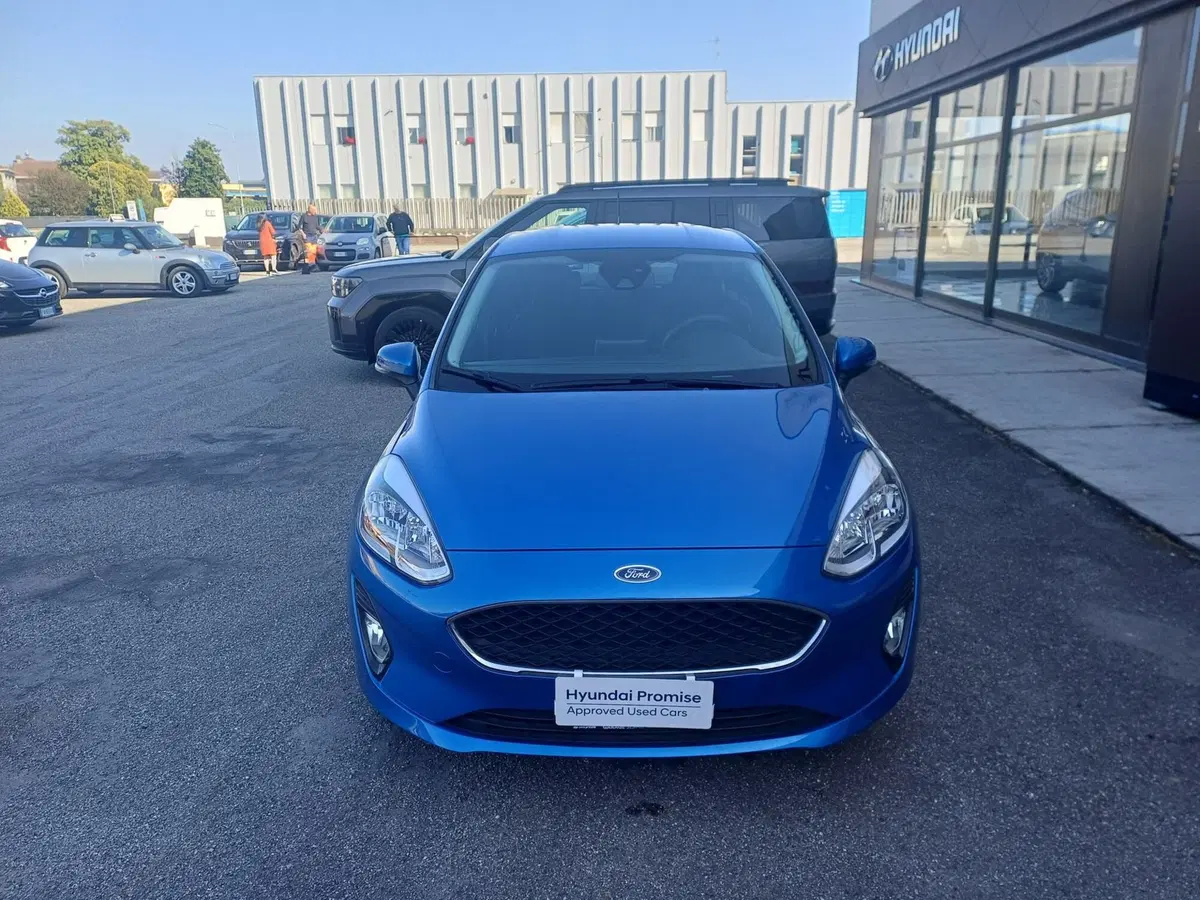 Ford Fiesta usata a Alessandria (3)