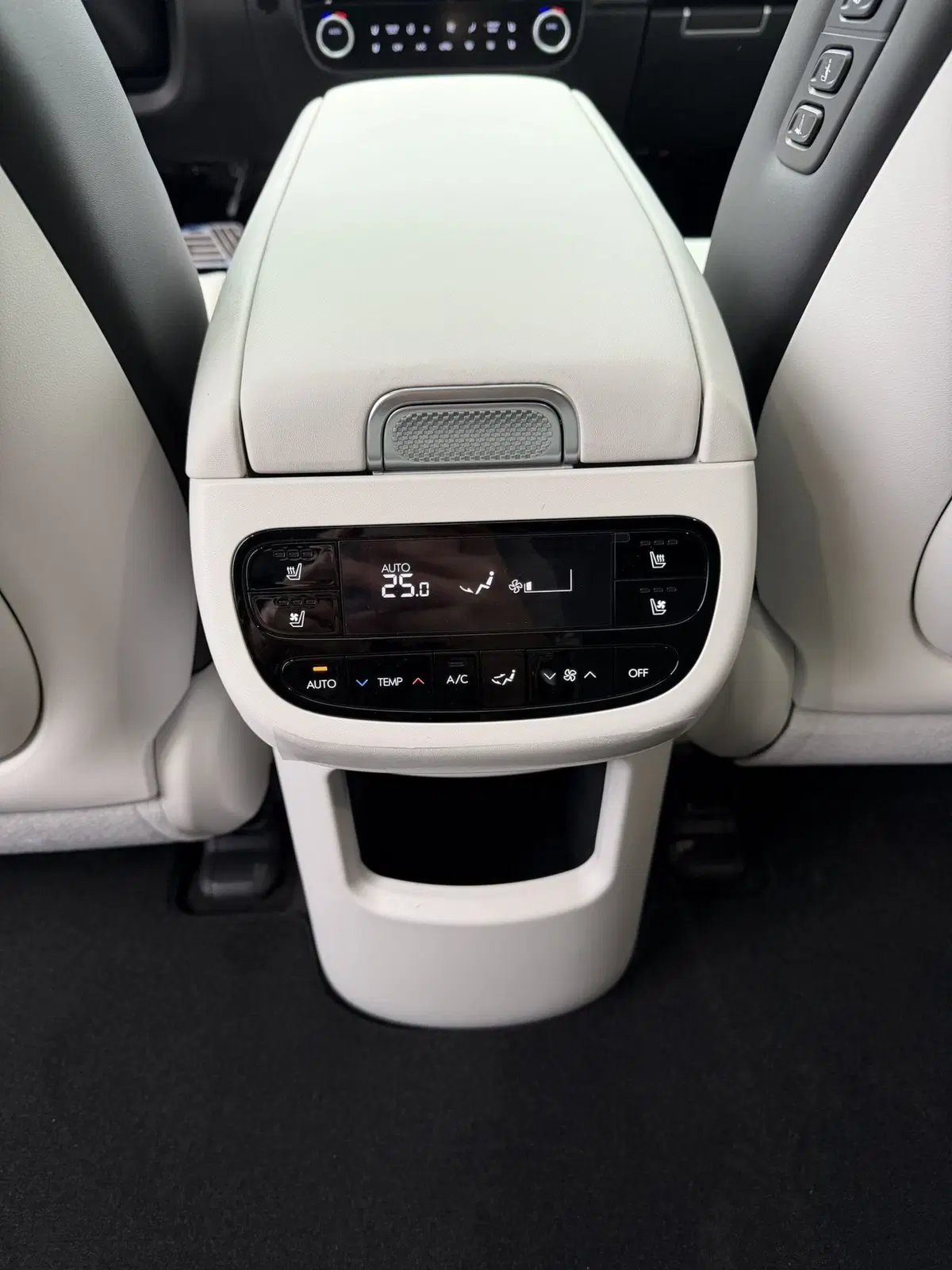 Hyundai Ioniq 9 nuova a Vercelli (15)
