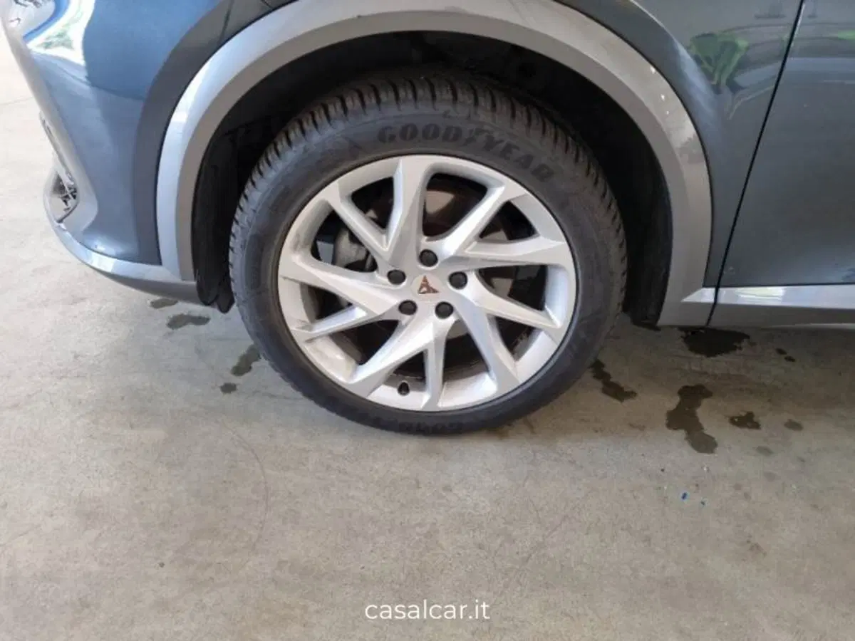 Cupra Formentor usata a Salerno (20)