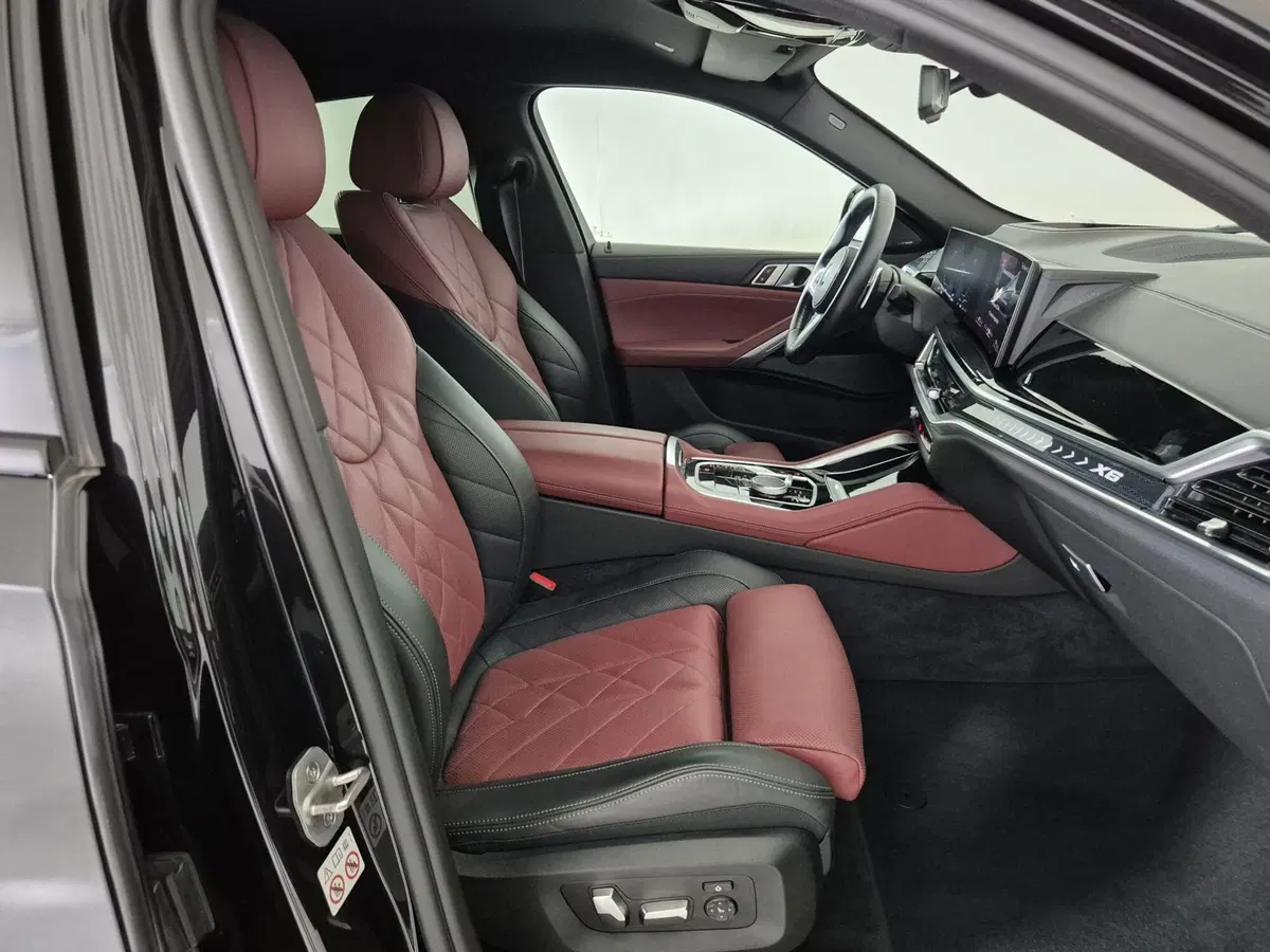 BMW X6 usata a Torino (11)