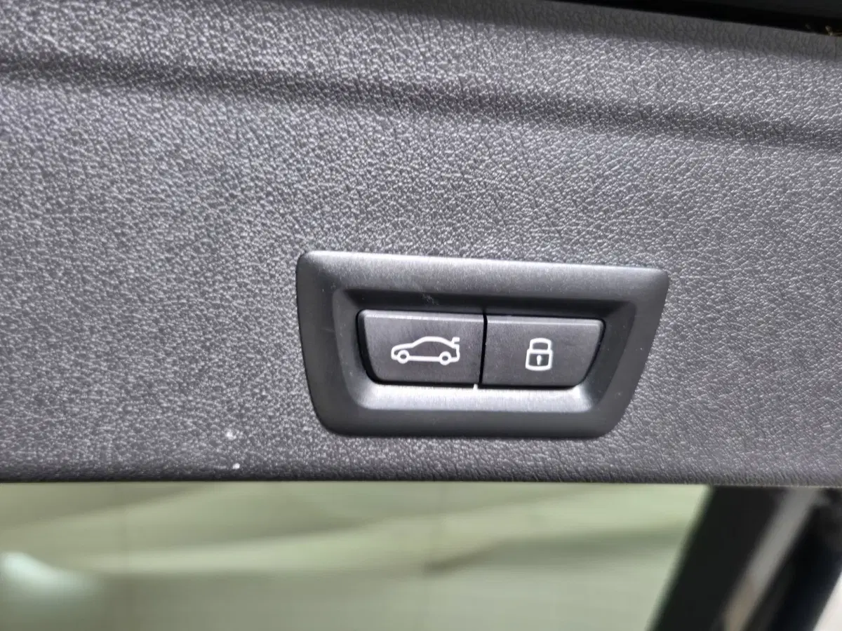 BMW X6 usata a Torino (20)
