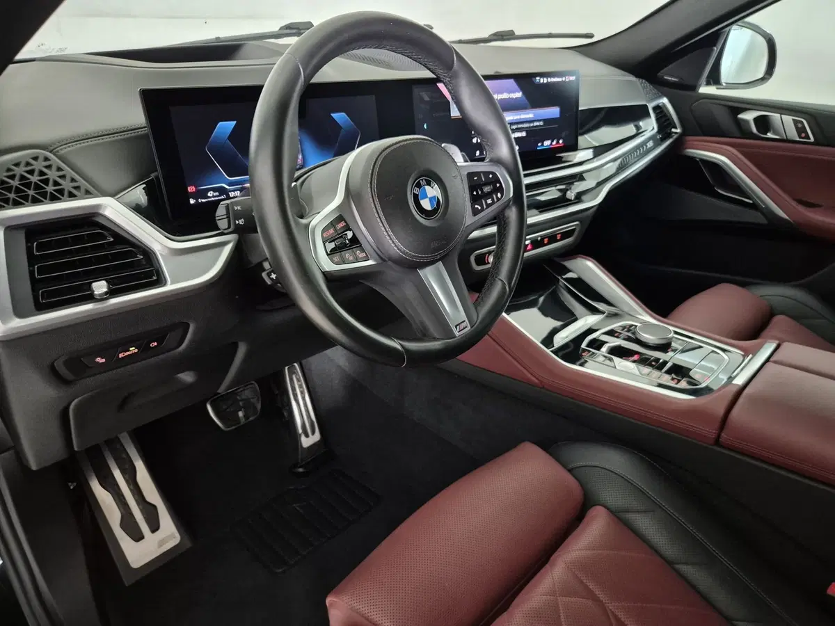 BMW X6 usata a Torino (7)