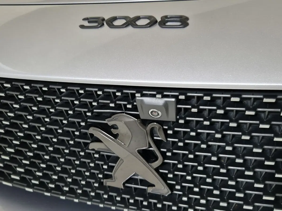 Peugeot 3008 usata a Torino (17)