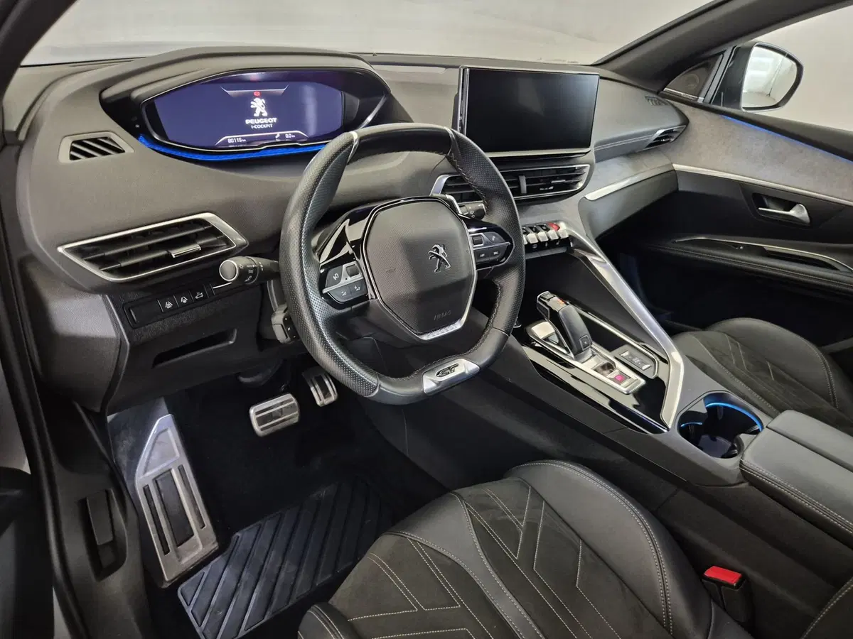 Peugeot 3008 usata a Torino (6)