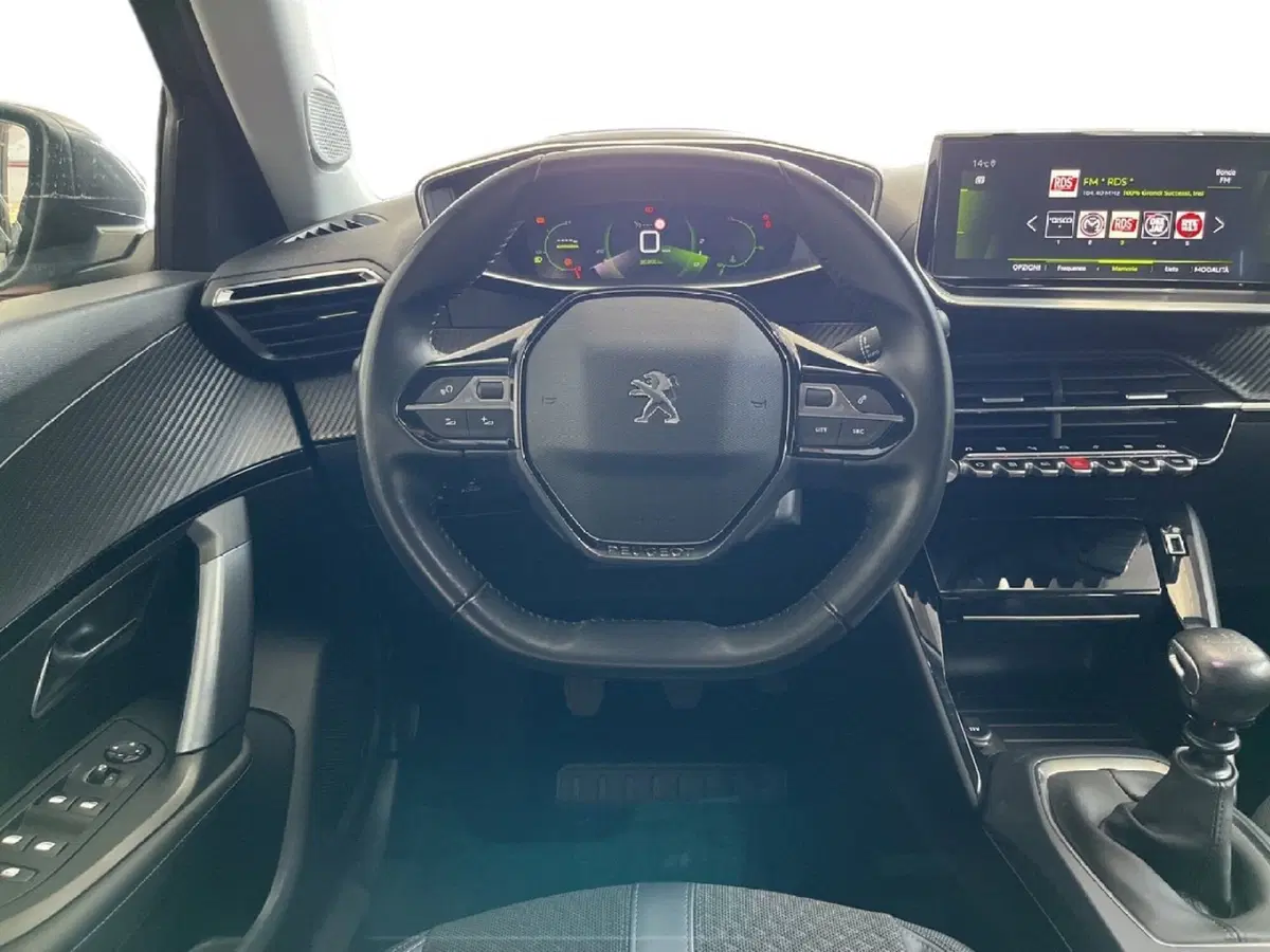 Peugeot 2008 usata a Torino (12)