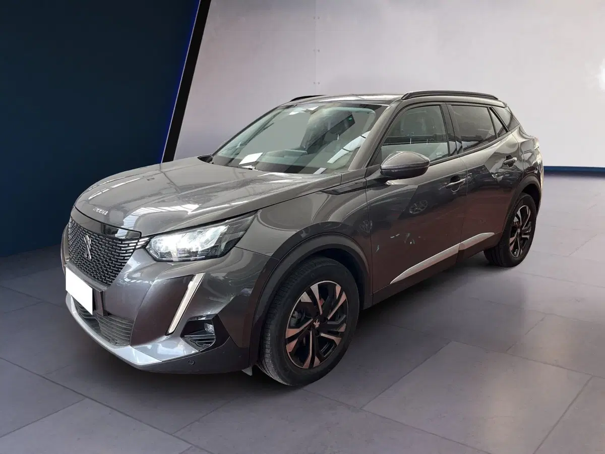 Peugeot 2008 usata a Torino (2)