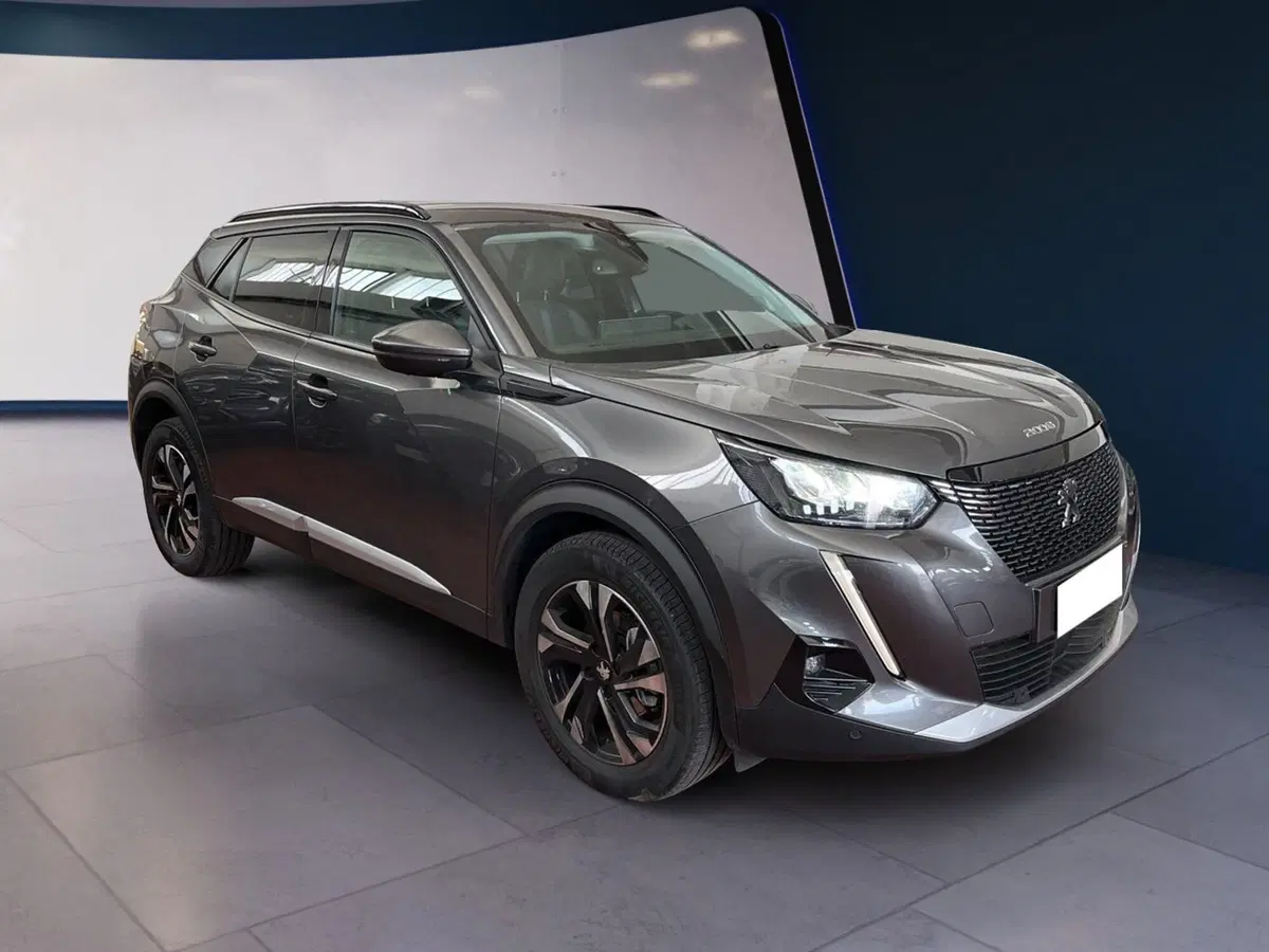 Peugeot 2008 usata a Torino (3)