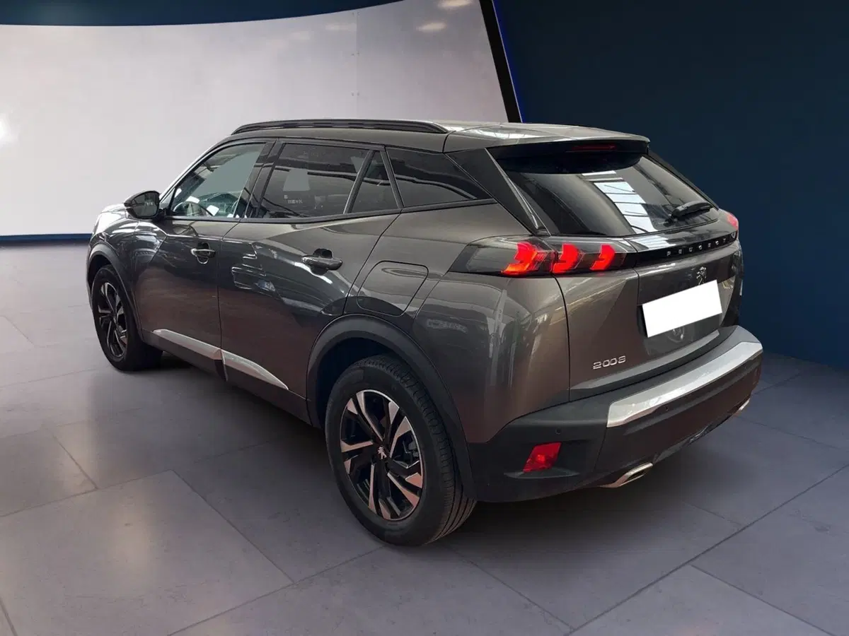 Peugeot 2008 usata a Torino (6)