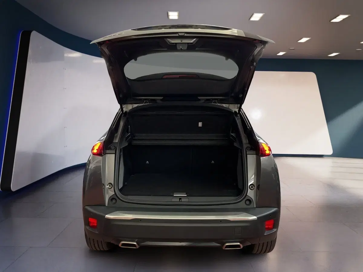 Peugeot 2008 usata a Torino (7)
