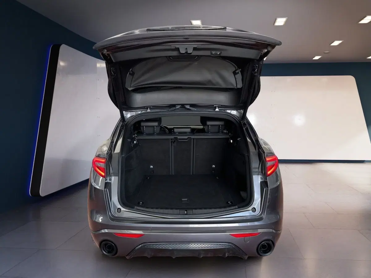 Alfa Romeo Stelvio usata a Torino (8)