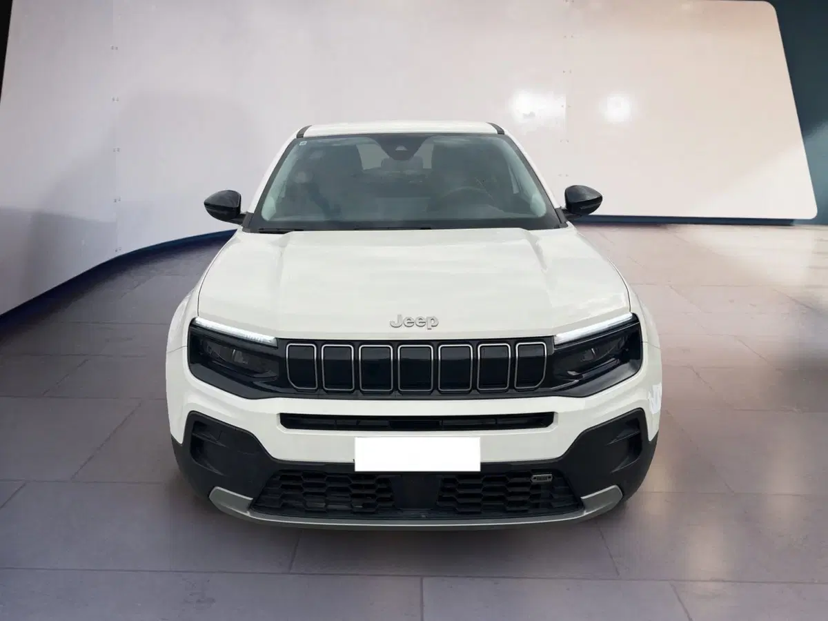 Jeep Avenger usata a Torino