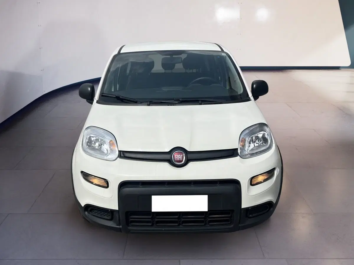 Fiat Panda usata a Torino